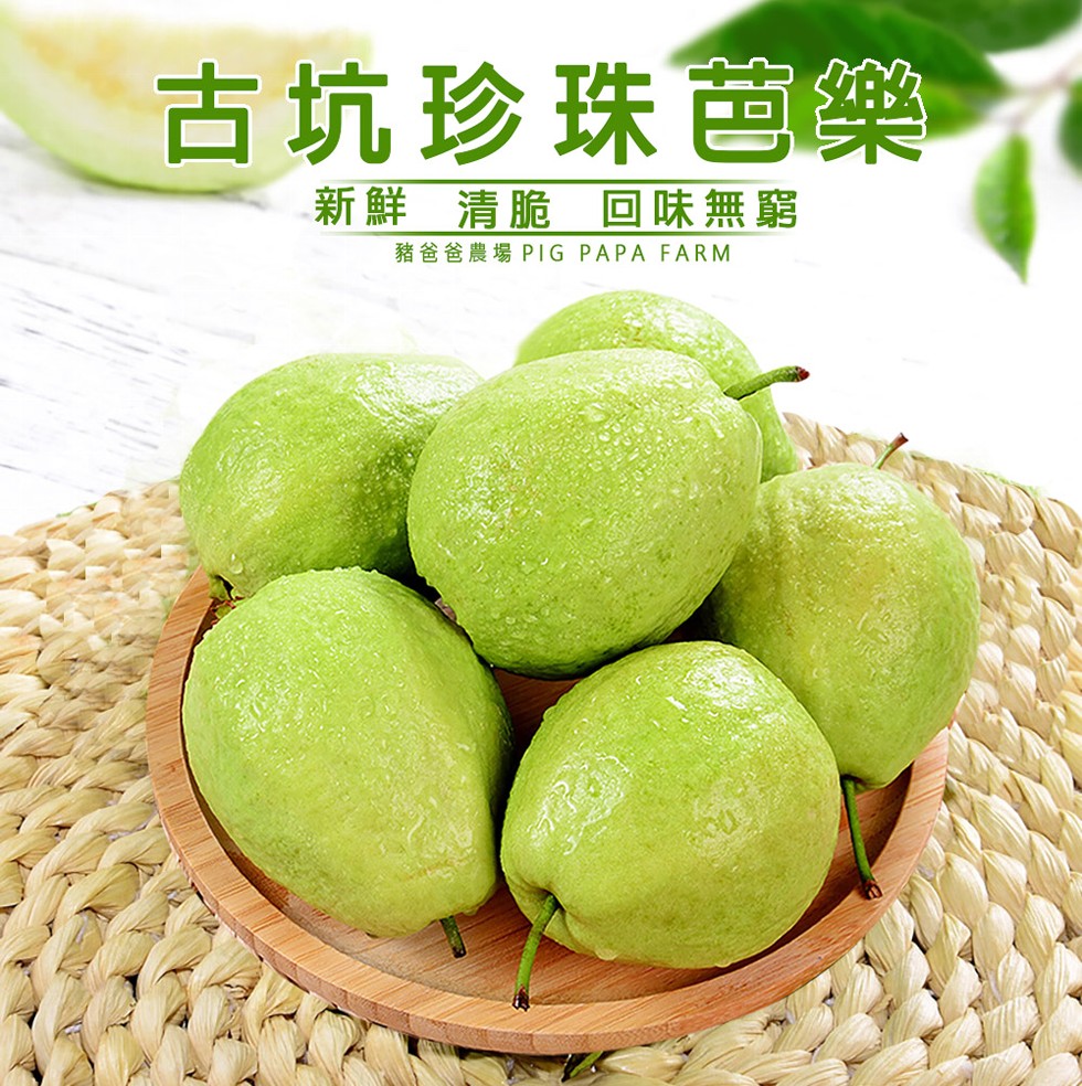 古坑珍珠芭樂，新鮮 清脆 回味無窮，豬爸爸農場PIG PAPA FARM。