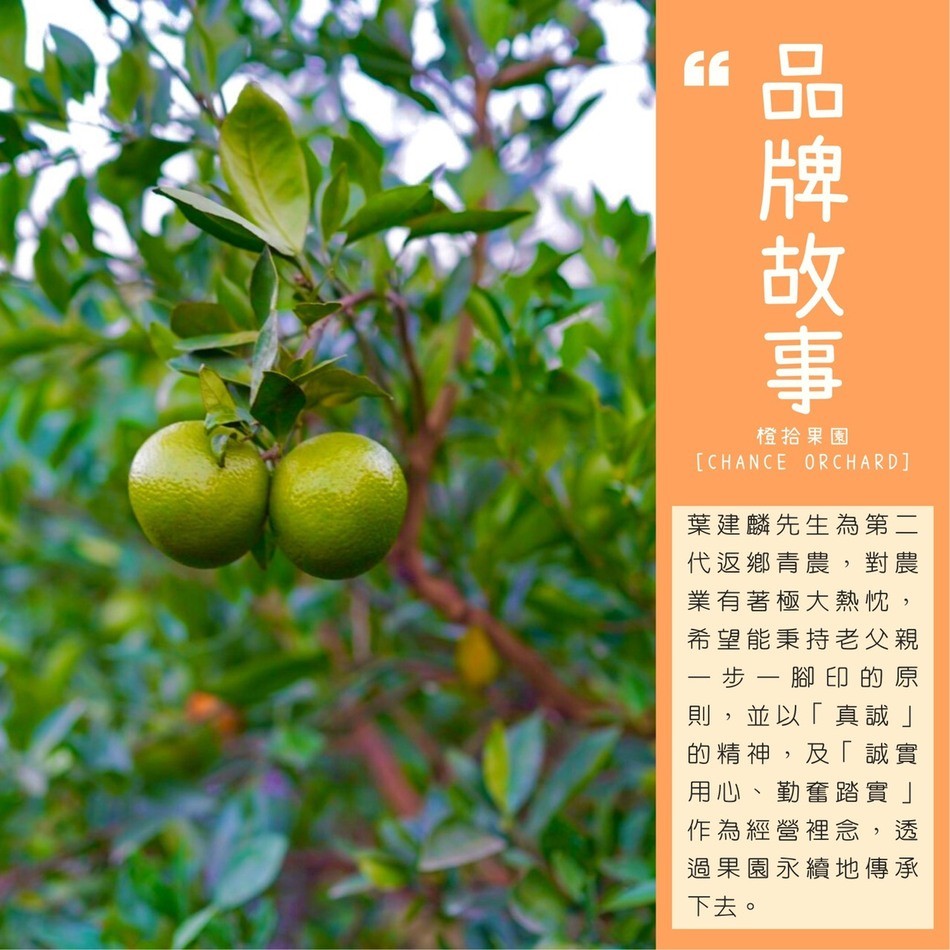 橙拾果園，葉建麟先生為第二，代返鄉青農,對農，業有著極大熱忱,希望能秉持老父親，步-腳印的原，則,並以真誠的精神,及誠實，用心、勤奮踏實作為經營裡念,透，過果園永續地傳承，下去。品牌故。