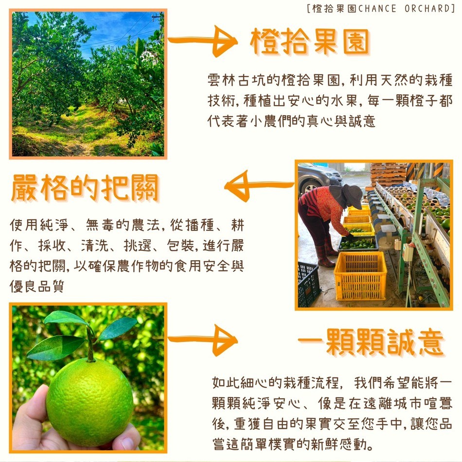 [橙拾果園CHANCE ORCHARD]，→橙拾果園，雲林古坑的橙拾果園, 利用天然的栽種，技術,種植出安心的水果, 每一顆橙子都，代表著小農們的真心與誠意，嚴格的把關，使用純淨、無毒的農法, 從播種、耕，作、採收、清洗、挑選、包裝, 進行嚴，格的把