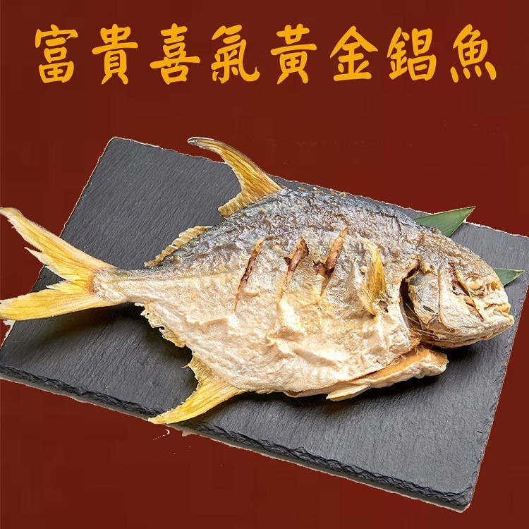 富貴喜氯黃金錩魚。