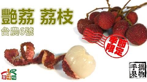 艷荔 荔枝，合農6號。