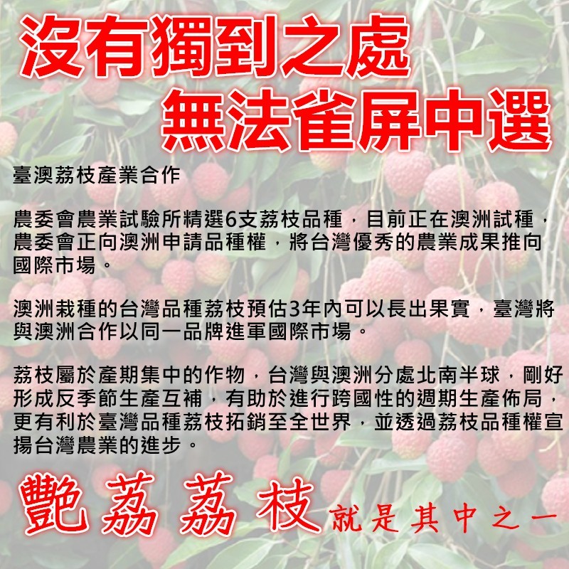 沒有獨到之處，無法雀屏中選，臺澳荔枝產業合作，農委會農業試驗所精選6支荔枝品種,目前正在澳洲試種，農委會正向澳洲申請品種權,將台灣優秀的農業成果推向，國際市場。澳洲栽種的台灣品種荔枝預估3年內可以長出果實,臺灣將，與澳洲合作以同一品牌進軍國際市場。荔