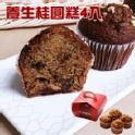 養生桂圓糕