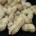鹹酥花生(帶殼)180g