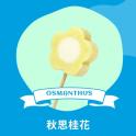 【梅花の冰】秋思桂花
