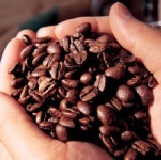 ♥巧戀咖啡♥(特級原豆)嘉義縣大埔鄉『參等獎』比賽豆 ~1仟萬產品責任險~SGS衛生檢驗合格~100g