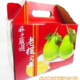 【台南麻豆】磚仔井李家50年老欉文旦 (5台斤) 特價：$399