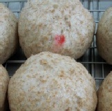 客家筍茸 - 全麥麵皮(2顆) ＊香脆有嚼勁＊筍與香菇的完美融合～絕讚口感！ 特價：$36