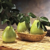 《生產履歷認證》柚強麻豆文旦，限時限量大合購特價 5斤 特價：$300