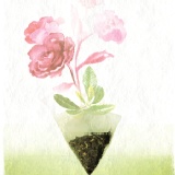 玫瑰油切綠茶 特價:$85 玫瑰油切綠茶 特價:$85