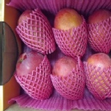 村長的愛文芒果《5台斤6粒》 特價：$599