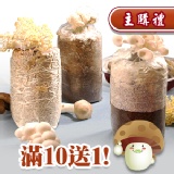 [主購禮] 菇菇栽培太空包 特價：$0