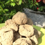 究極回甘化核梅 ~熱門銷售排行第一名 特價：$43