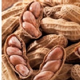 鹽味土豆500g 特價：$80