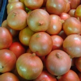 Opoca 美國華盛頓進口洋蔥 特價：$55