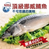 頂級挪威半身鯖魚