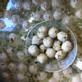 爆漿大貢丸 // 老罈酸菜 特價：$147