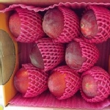 村長的愛文芒果《5台斤8粒》 特價：$499