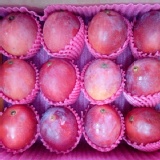 村長的愛文芒果《5台斤10-12粒》 特價：$399