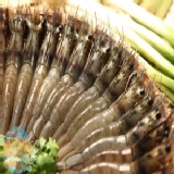 中尾☆急凍生鮮白蝦 特價：$100