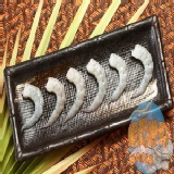 中顆☆急凍生鮮蝦仁 特價：$95