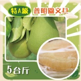 《普明園》老欉文旦(特A級) 特價:$425 《普明園》老欉文旦(特A級) 特價:$425