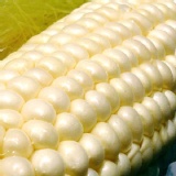 爆汁牛奶水果玉米 特價：$179