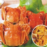 【江南名蟹】不含繩重鮮活大閘蟹(4.6-5.2兩) 特價：$269