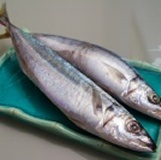 【魏家WEI JA】活凍四破魚