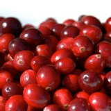 【幸美生技】冷凍莓果系列-蔓越莓 特價：$338