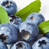 【幸美生技】冷凍莓果系列-栽種藍莓 特價：$338