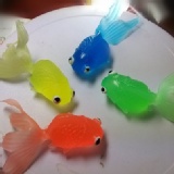 分享組(金魚30入+網子10入) 特價：$300