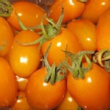 美濃橙蜜香小番茄 3斤裝 特價：$239
