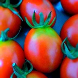 櫻桃小丸子 3斤裝 特價：$269