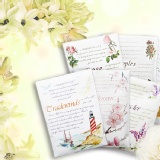 【美國Fresh Scents】香氛包1盒(12入) 特價：$168