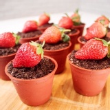 盆栽提拉米蘇~大湖草莓限定版 特價：$350