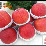 日本青森サンふじ蜜蘋果(小尺寸)