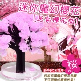 迷你魔幻櫻花成長樹 居家櫻花祭 特價：$119