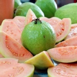 果農網燕巢紅心芭樂 特價：$147