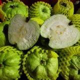 果農網燕巢區水晶芭樂 特價：$160