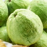 果農網珍珠牛奶芭樂 特價：$100