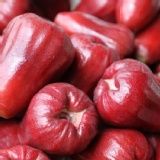 果農網子彈蓮霧3斤裝