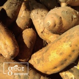 產銷履歷-雲林水林台農57號焦糖黃金薯 特價：$199