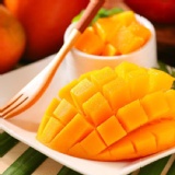 屏東枋山愛文芒果