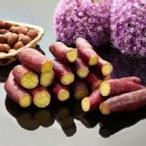 【御品金藷系列】栗香地瓜