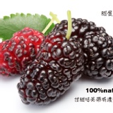 金鑽黑寶石桑椹 特價：$99