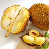 泰國金枕頭榴槤 特價：$239