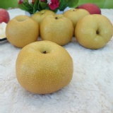 脆甜多汁水梨