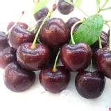 嚴選華盛頓櫻桃 特價：$250