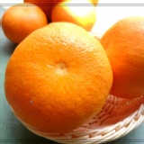 澳洲茂谷蜜柑